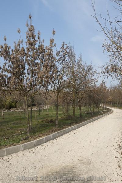 Alkent 2000 Camlica Galeri 009